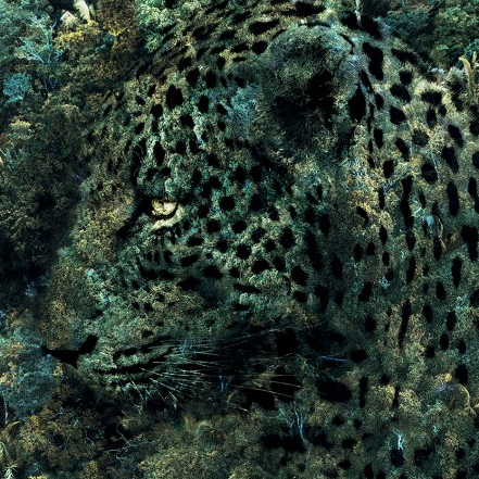 Amazonie. Le chamane et la pensée de la forêt - APAPA ROSENTHAL & ATELIER SHIROÏ