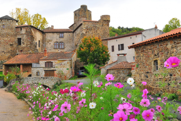 Château de Saint-Gervazy : fleurs