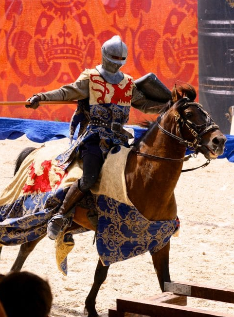 Où voir des spectacles équestres en famille en France ? - Château de Chambord