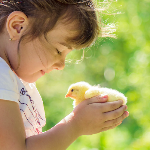 Top des fermes de Lille en famille