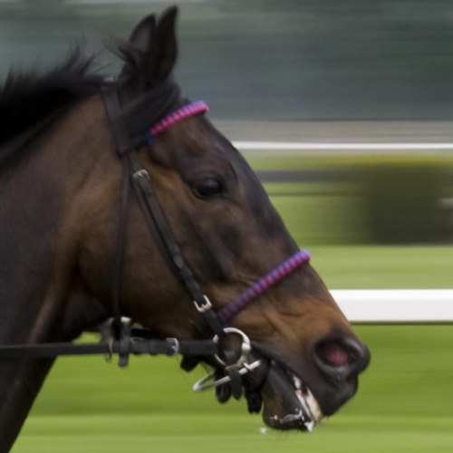 Hippodrome de Hoerdt