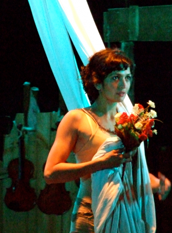 Circus klezmer - Companyia de circ