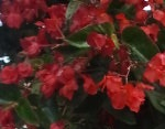 concours_rentree_emma