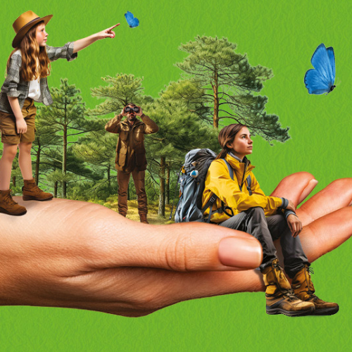 Département des Bouches-du-Rhône