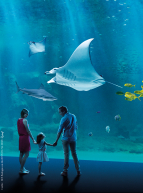 Aquarium Nausicaá - Centre national de la Mer