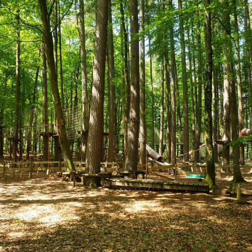 La forêt des défis