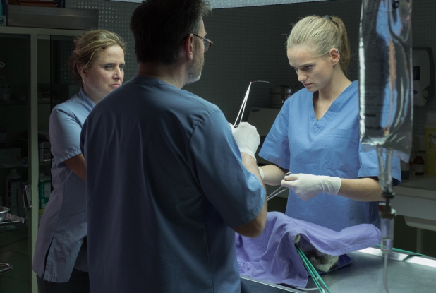 Les Vétos : opération