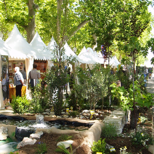 Fête de la biodiversité Montpellier