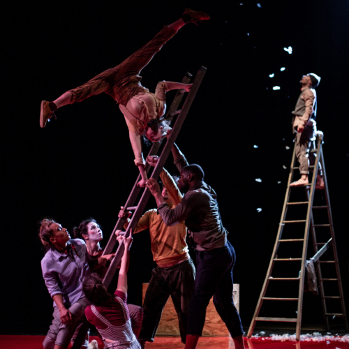 Fli - Cie Art Move Concept