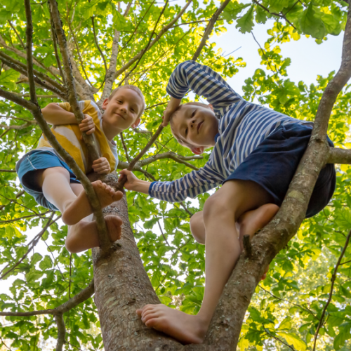 Fête de la nature Bretagne