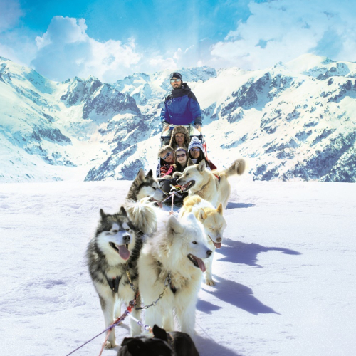 Partez en famille au ski en Ariège Pyrénées - Chien de traîneau