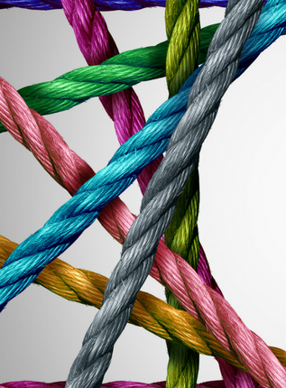 C'est dans mes cordes - Vaisseau