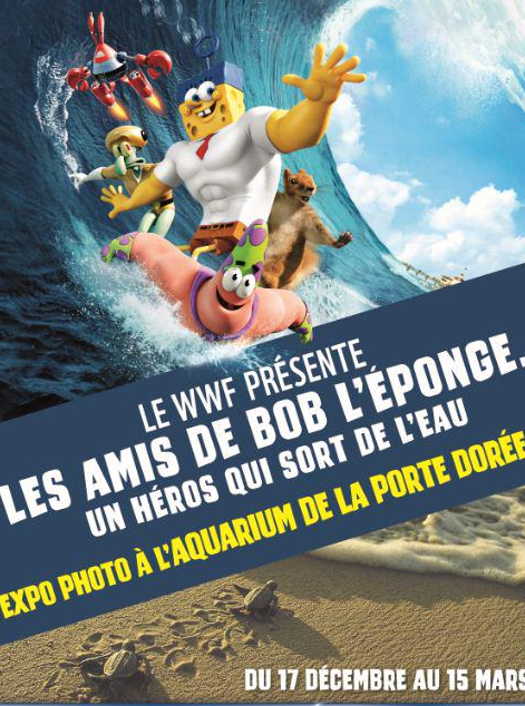 Les Amis de Bob l'éponge : un héros sort de l'eau