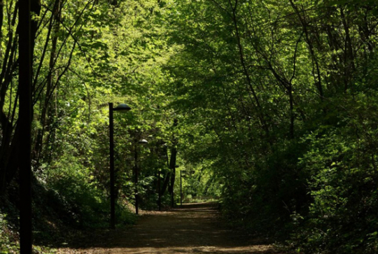 Voie verte de Champvert