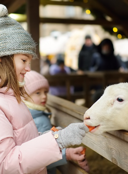 Noël à la Bergerie nationale