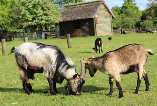 Parc Hérouval : ferme