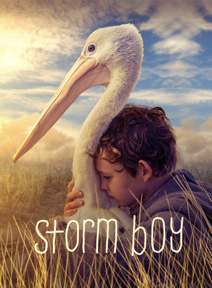 concours-stormboy