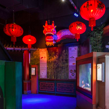 Nouvel an chinois 2022 à l'aquarium SEA LIFE PARIS