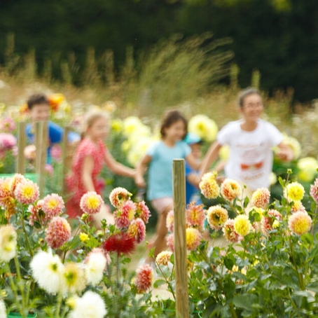Un été nature à Lille