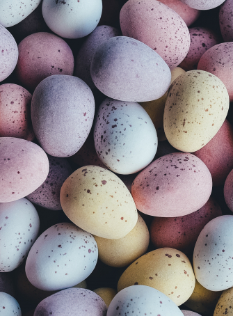 Parc de Procé - Chasse aux oeufs de Pâques solidaire 2019