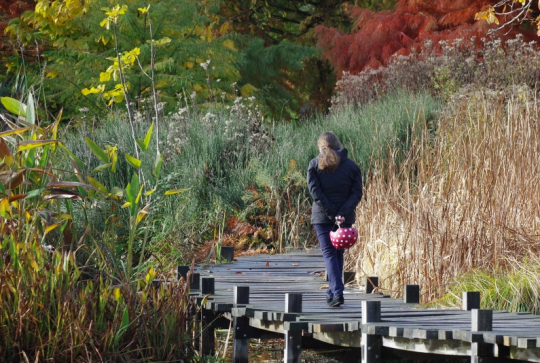 Parc du Grand Blottereau - Nantes