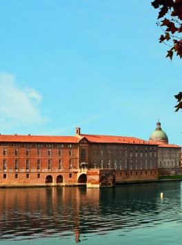 Festival international d'art de Toulouse 2014