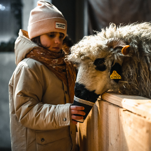 La Ferme du Père Noël dans les Monts du Genevois - petite fille