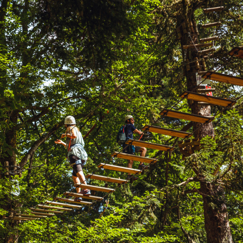 Mont-Dores Aventures : enfants dans les arbres