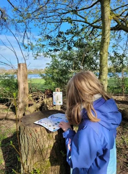 Prés du Hem Chasse aux œufs