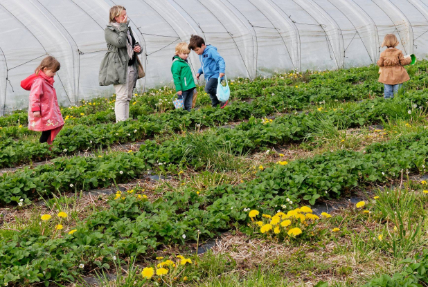 Ferme du Vinage : Pâques
