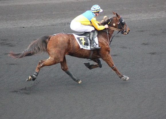 Hippodrome Vincennes