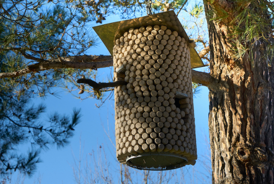 Bricolage : fabriquez une cabane à oiseaux avec les enfants - Nichoir en bouchons de liège