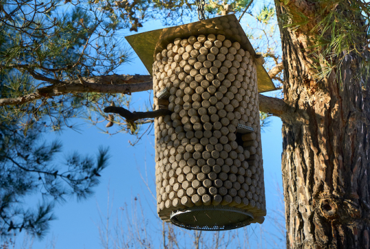 5 idées DIY de cabanes à oiseaux, Le Blog