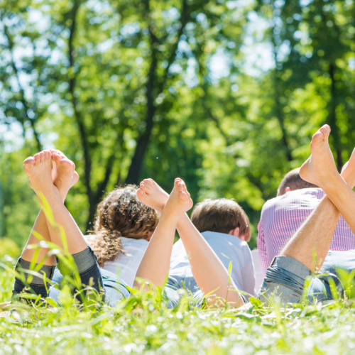 Pique nique à Bordeaux