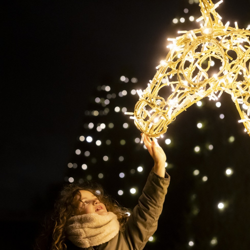 Lumières en Seine : cheval