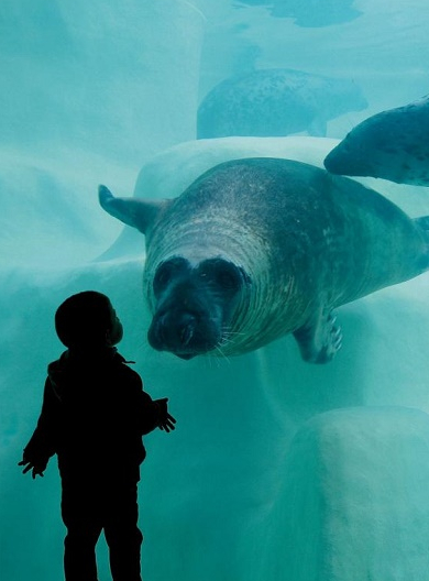 Aquarium de Biarritz