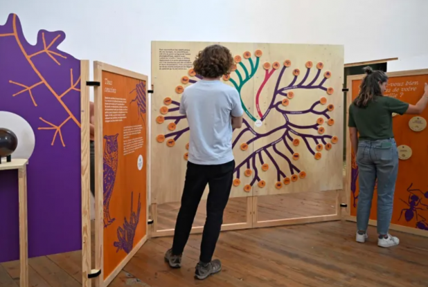 Expo Les Pop'up de l'Histoire naturelle : Ludique