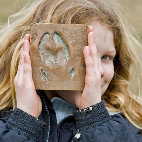 La grange aux paysages