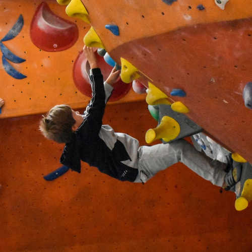 Blocbuster : escalade enfants