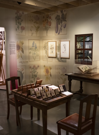 Exposition Fleurs, au-delà des apparences