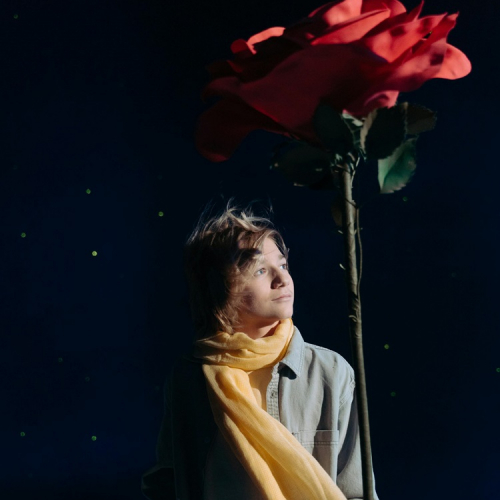 Stages de théâtre aux Petits Princes