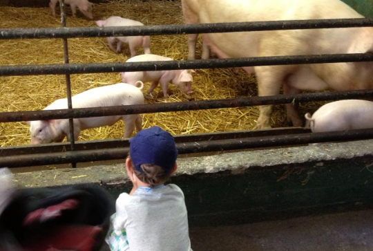 Ferme éducative La Ganzau