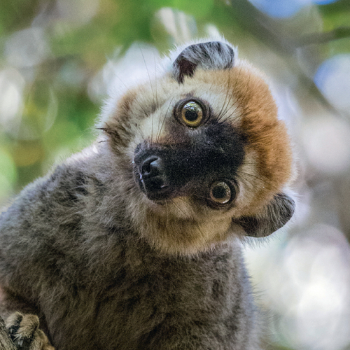Expo "Makay, un refuge en terre malgache"