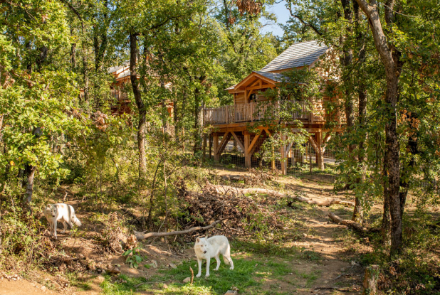 Safari de Peaugres - Cabanes perchées