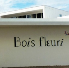 Espace culturel du Bois fleuri
