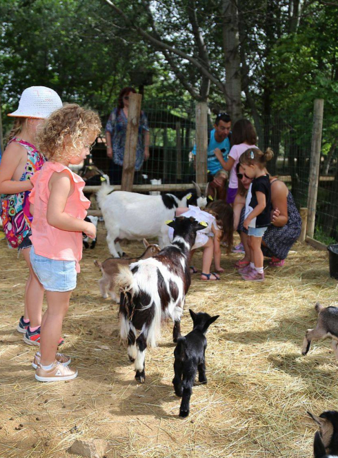 Les Petits fermiers à Lansargues