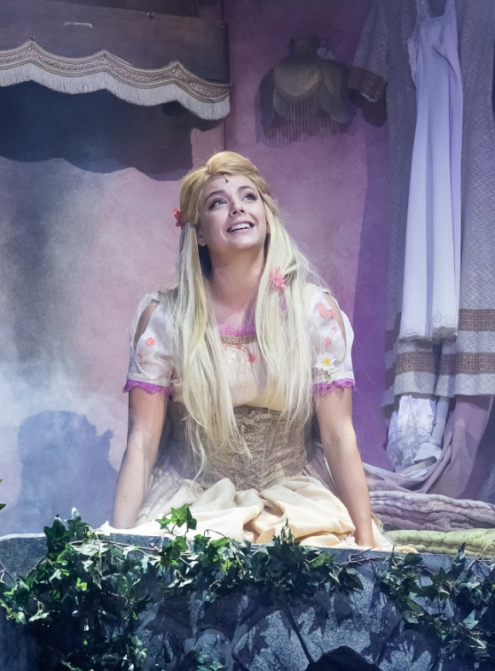 Raiponce et le prince aventurier - Guillaume Bauchède