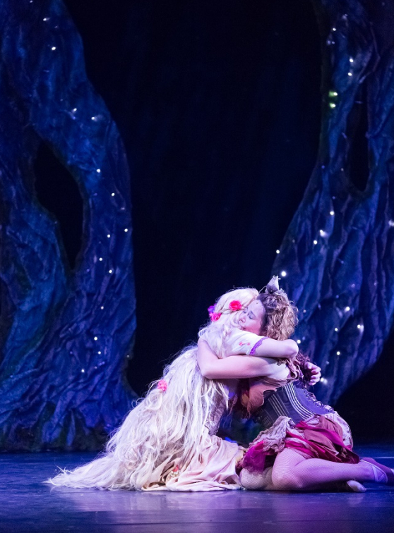 Raiponce et le prince aventurier - Guillaume Bauchède