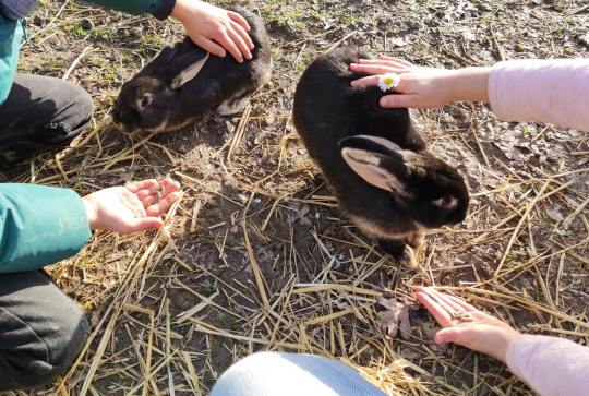 Ferme pédagogique de Cinquante