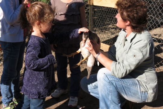 Ferme pédagogique au pied des Séchères